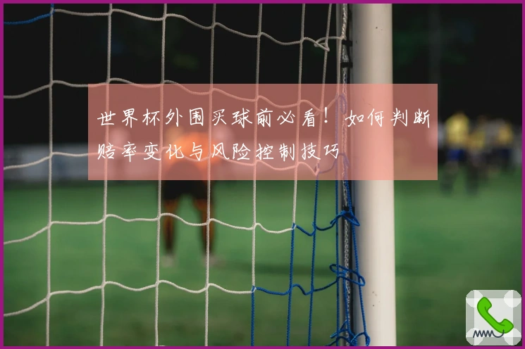 世界杯外围买球前必看！如何判断赔率变化与风险控制技巧