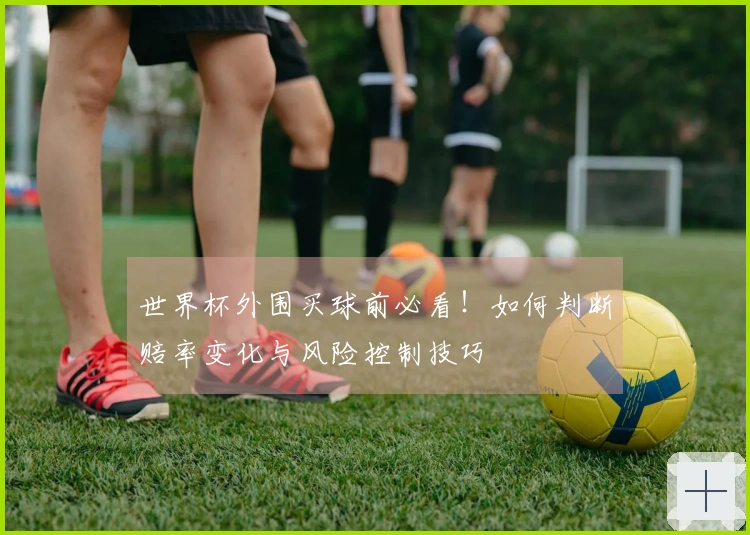 世界杯外围买球前必看！如何判断赔率变化与风险控制技巧