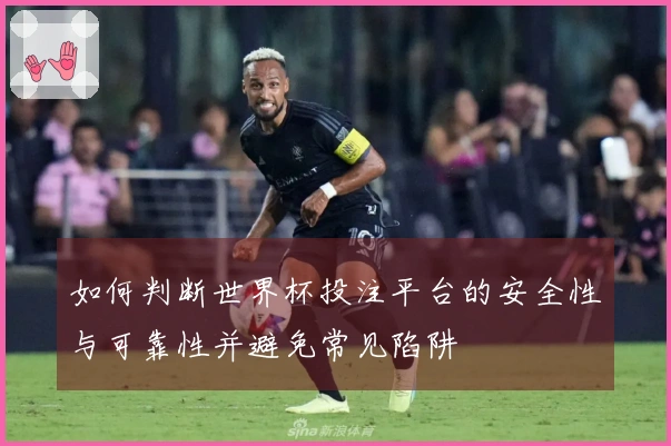 如何判断世界杯投注平台的安全性与可靠性并避免常见陷阱