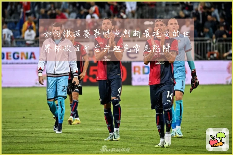 如何根据赛事特点判断最适合的世界杯投注平台并避免常见陷阱