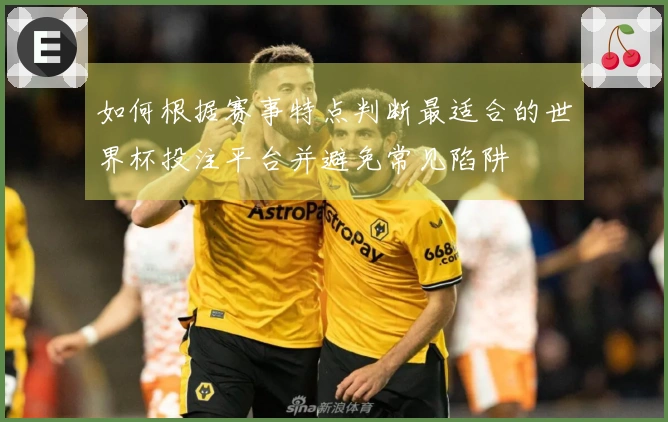 如何根据赛事特点判断最适合的世界杯投注平台并避免常见陷阱